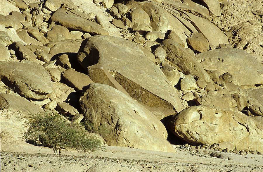 Urtümliche Blocklandschaft