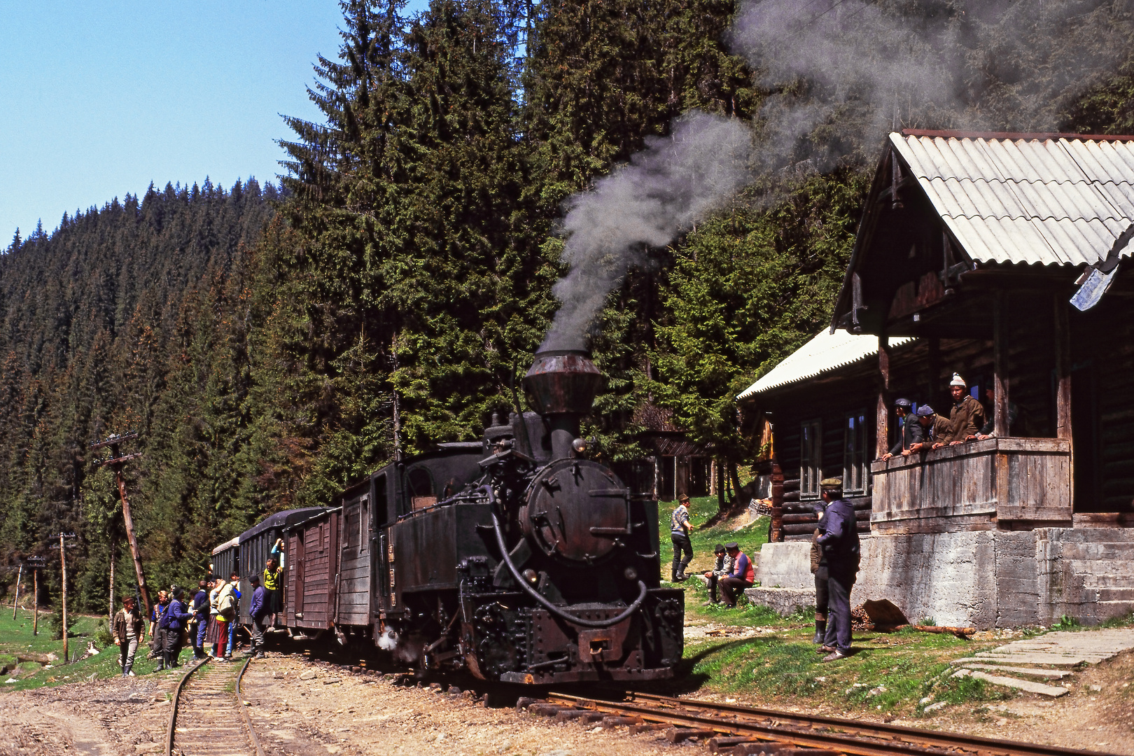 urtümliches Wassertal 04