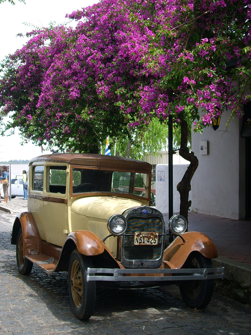 Uruguay ist voller alter Autos-genial