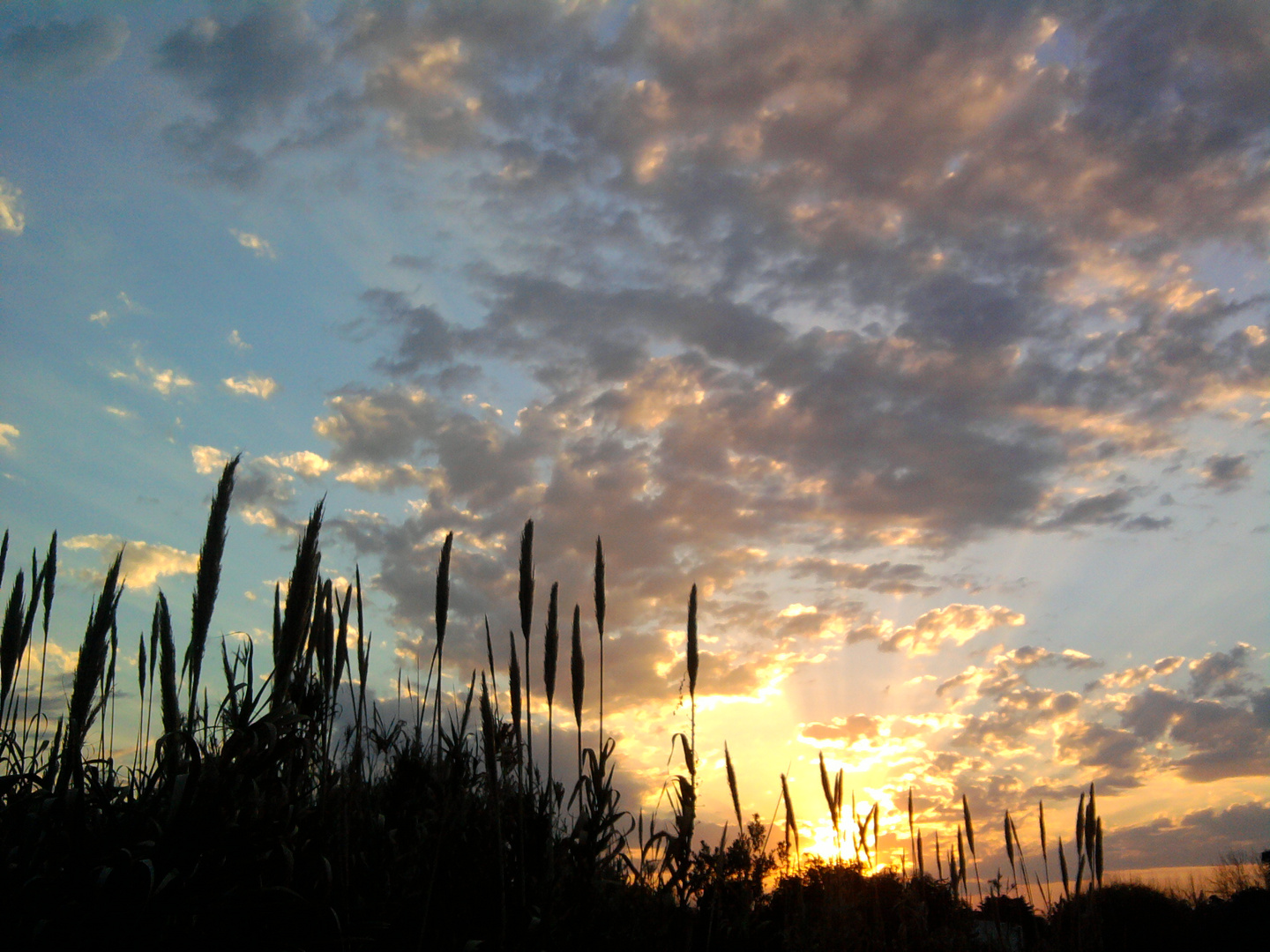 Uruguayan Sunset