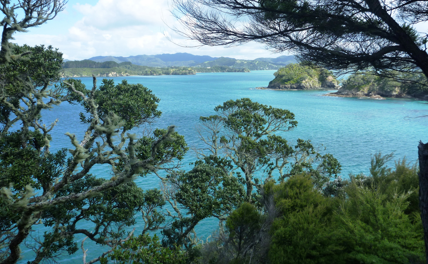 Urupukapuka Island