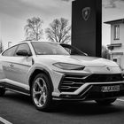 Urus