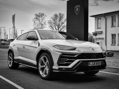 Urus