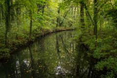 Urwald III - Lübben/Spreewald