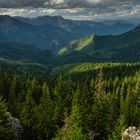 Urwald im Balkan