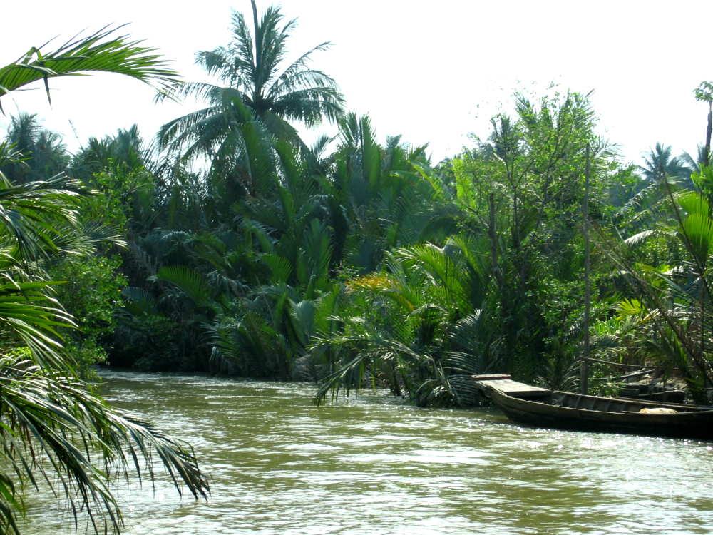 Urwald im Mekongdelta