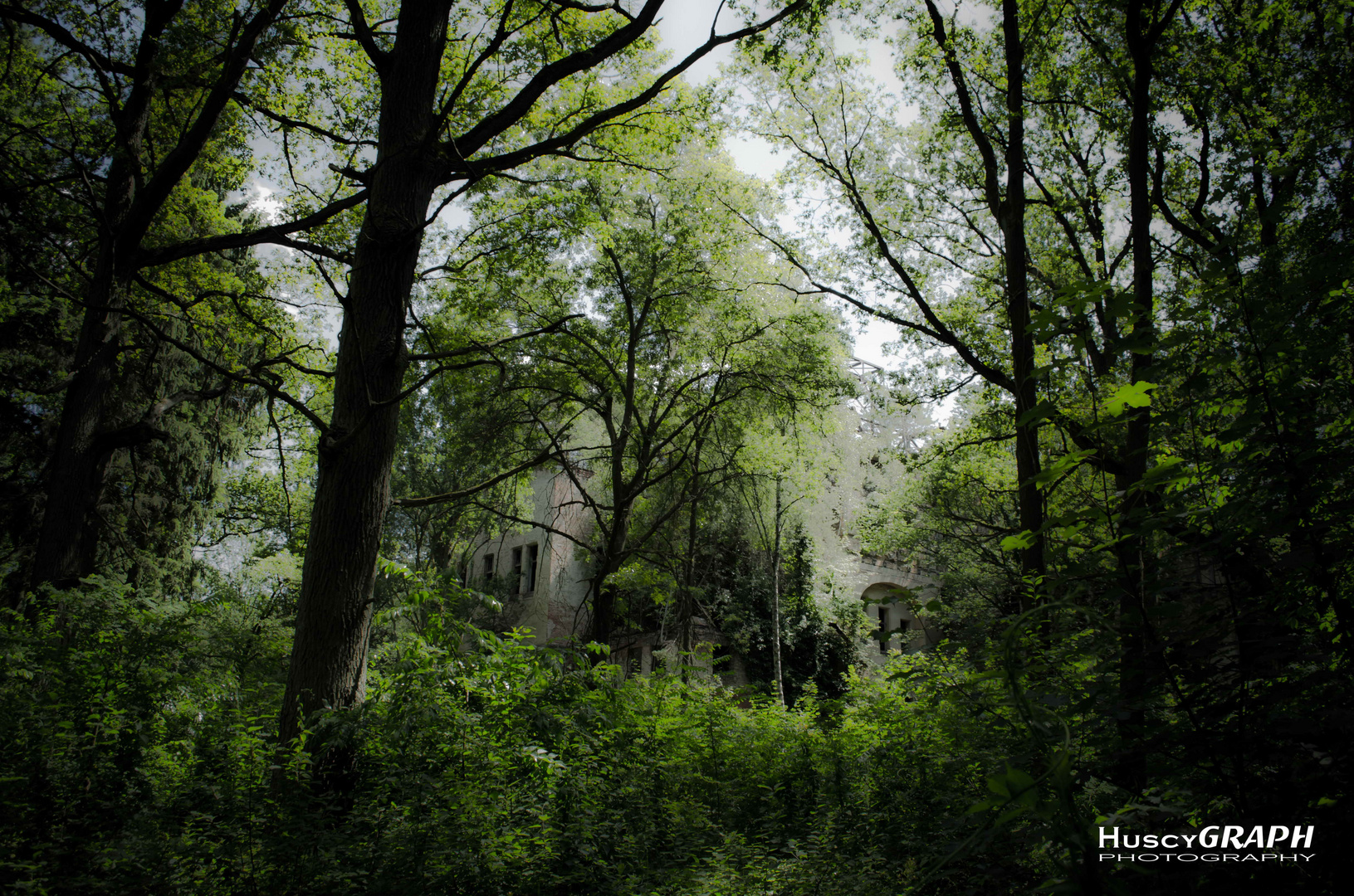 ...urwald in beelitz...