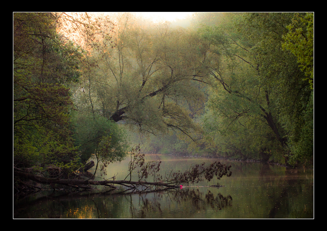 Urwald in der Stadt