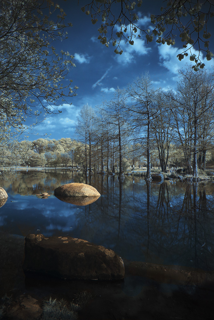 Urwald in der Stadt