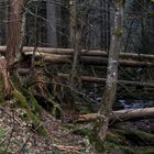 Urwald Monbachklamm