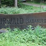 Urwald Sababurg