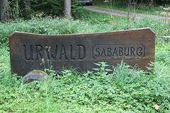 Urwald Sababurg