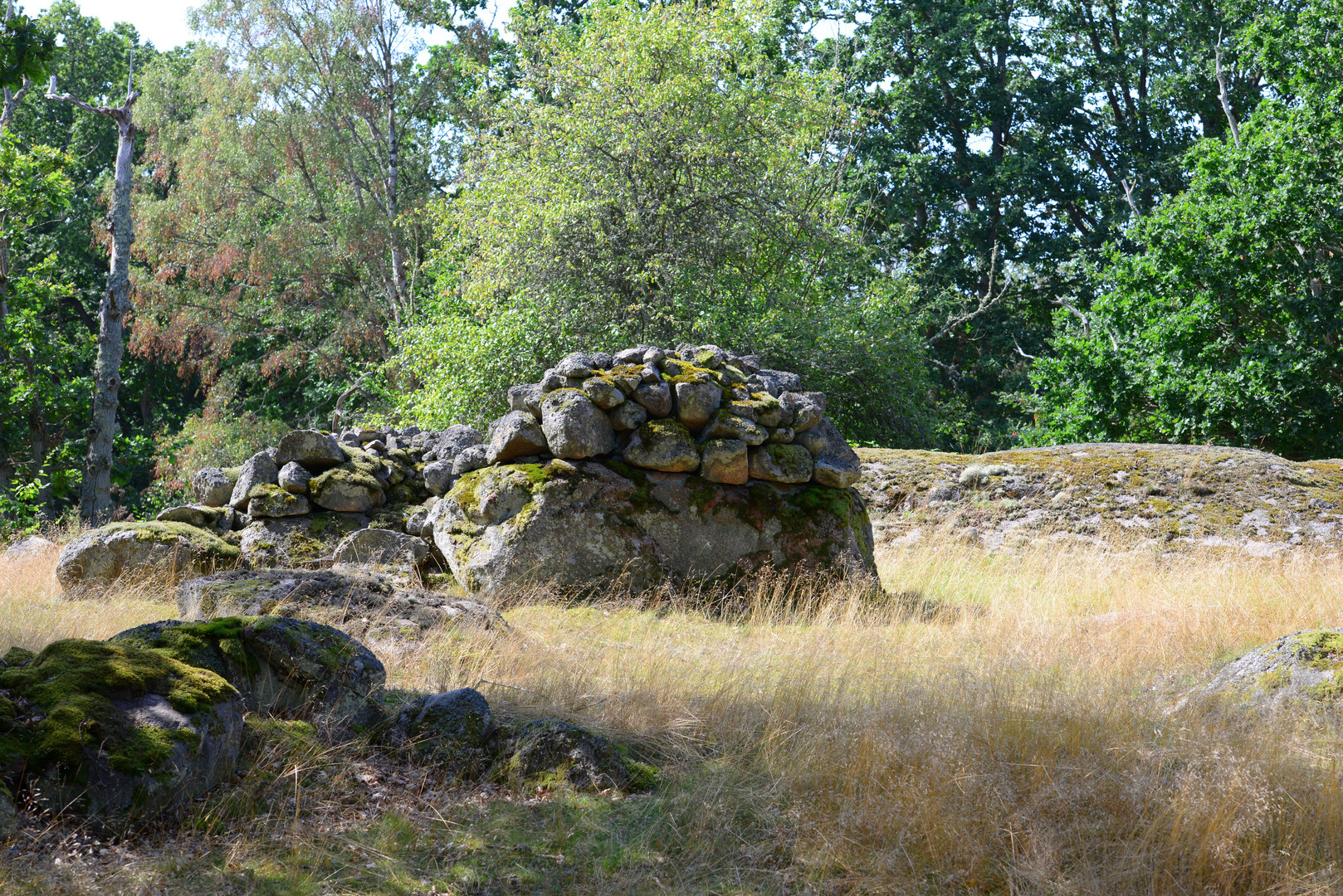 Urwald Schweden