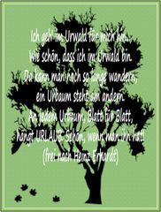 Urwald, Urbaum, Urlaub