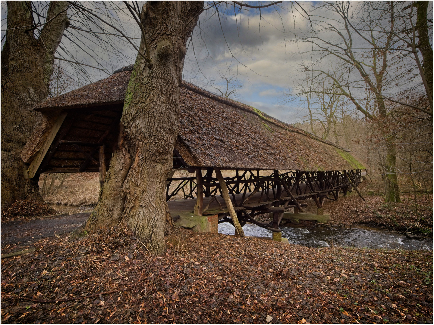 Urwaldbrücke