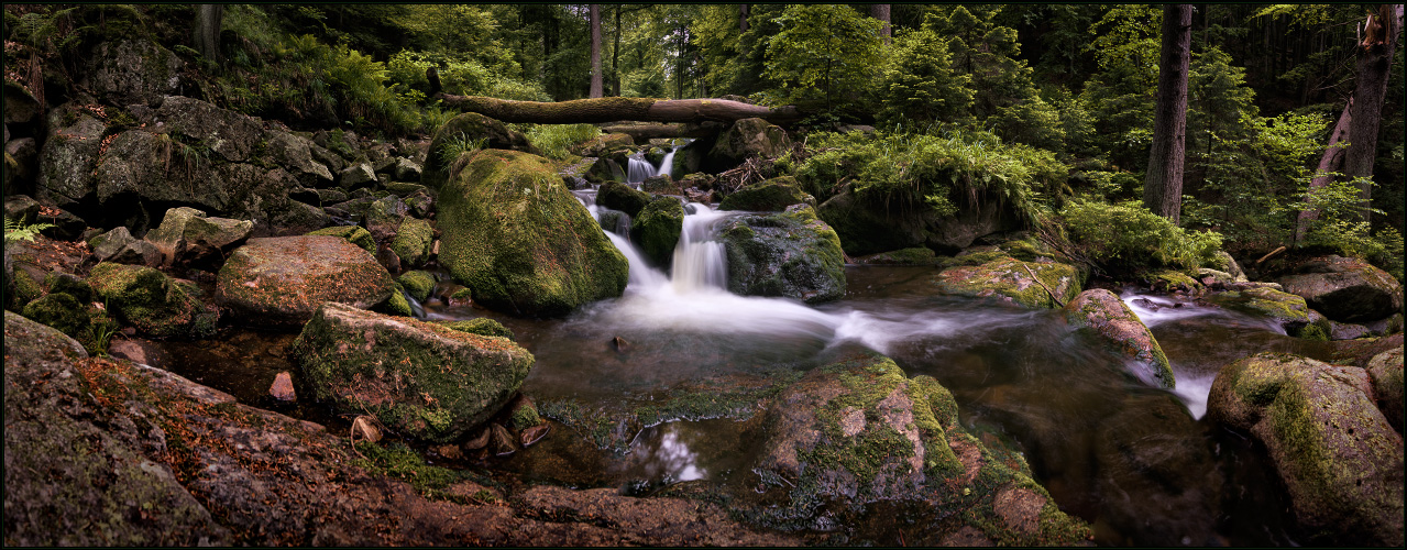 urwalden im Ilsetal