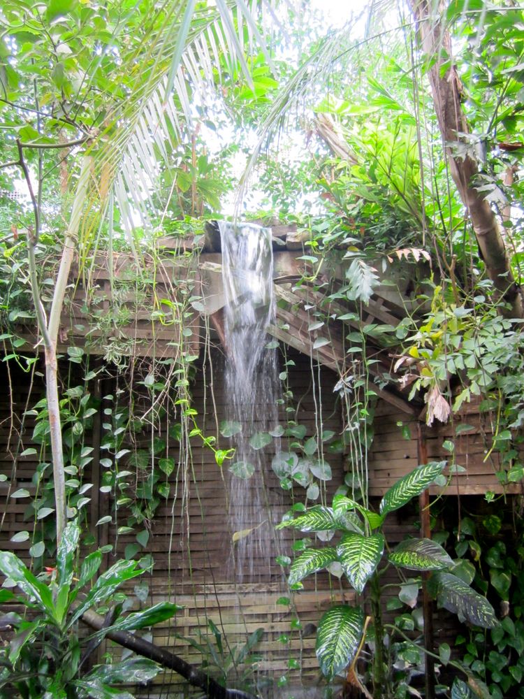 Urwaldhaus im Kölner Zoo