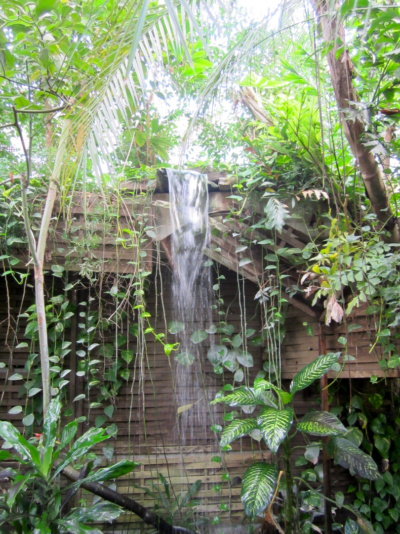 Urwaldhaus im Kölner Zoo