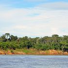 Urwaldlandschaft am Ufer des Rio Tambopata in Peru