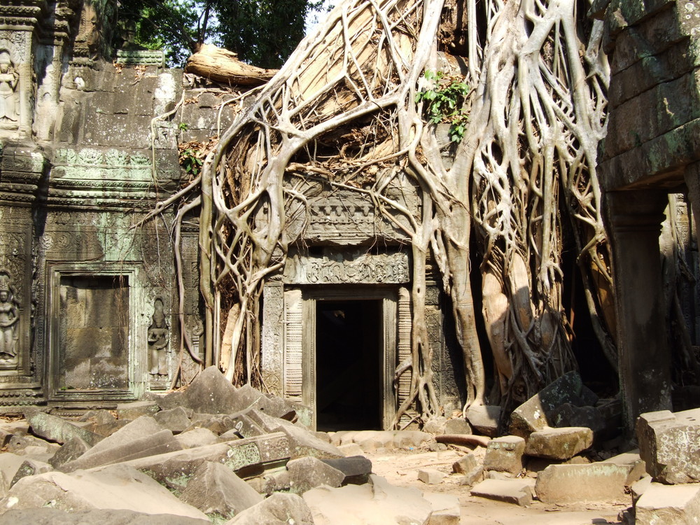 Urwaldtempel Ta Prohm