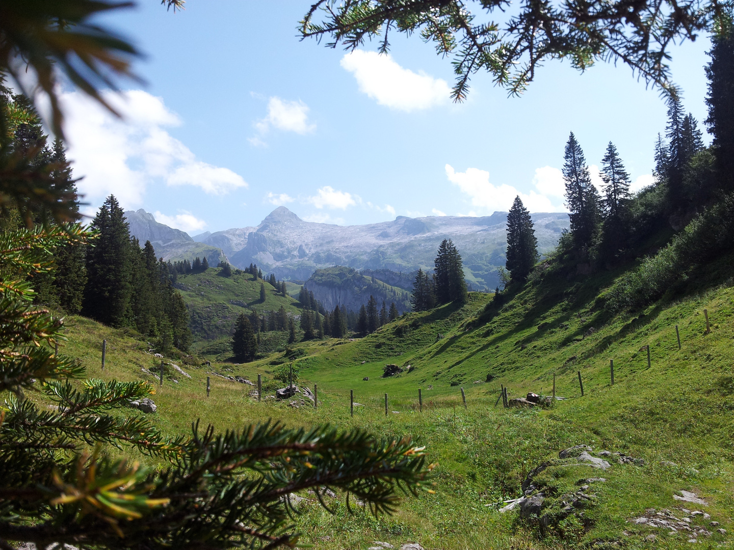 Urwaldweg im Kanton Uri Schweiz