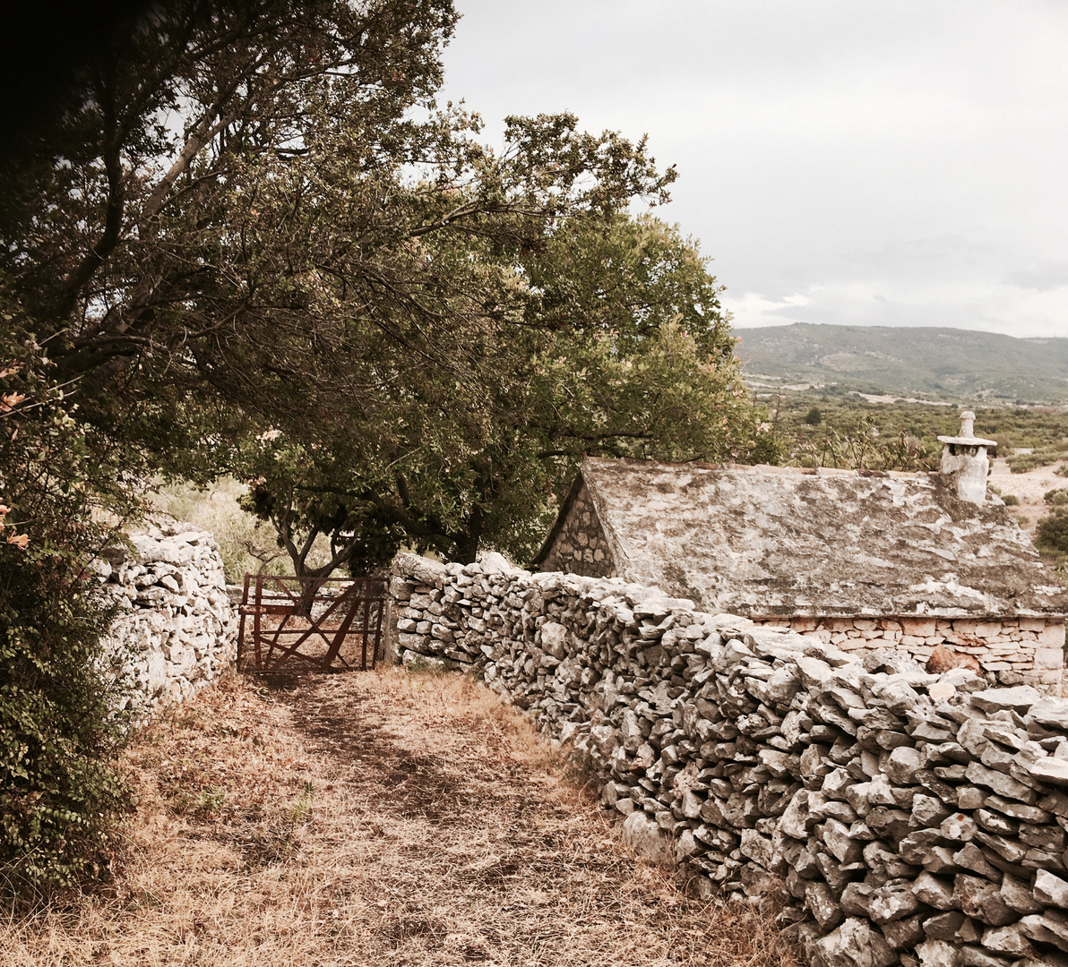 Urwüchsige Natur in Kroatien 