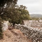 Urwüchsige Natur in Kroatien 