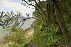 Urwüchsige Ostseeküste