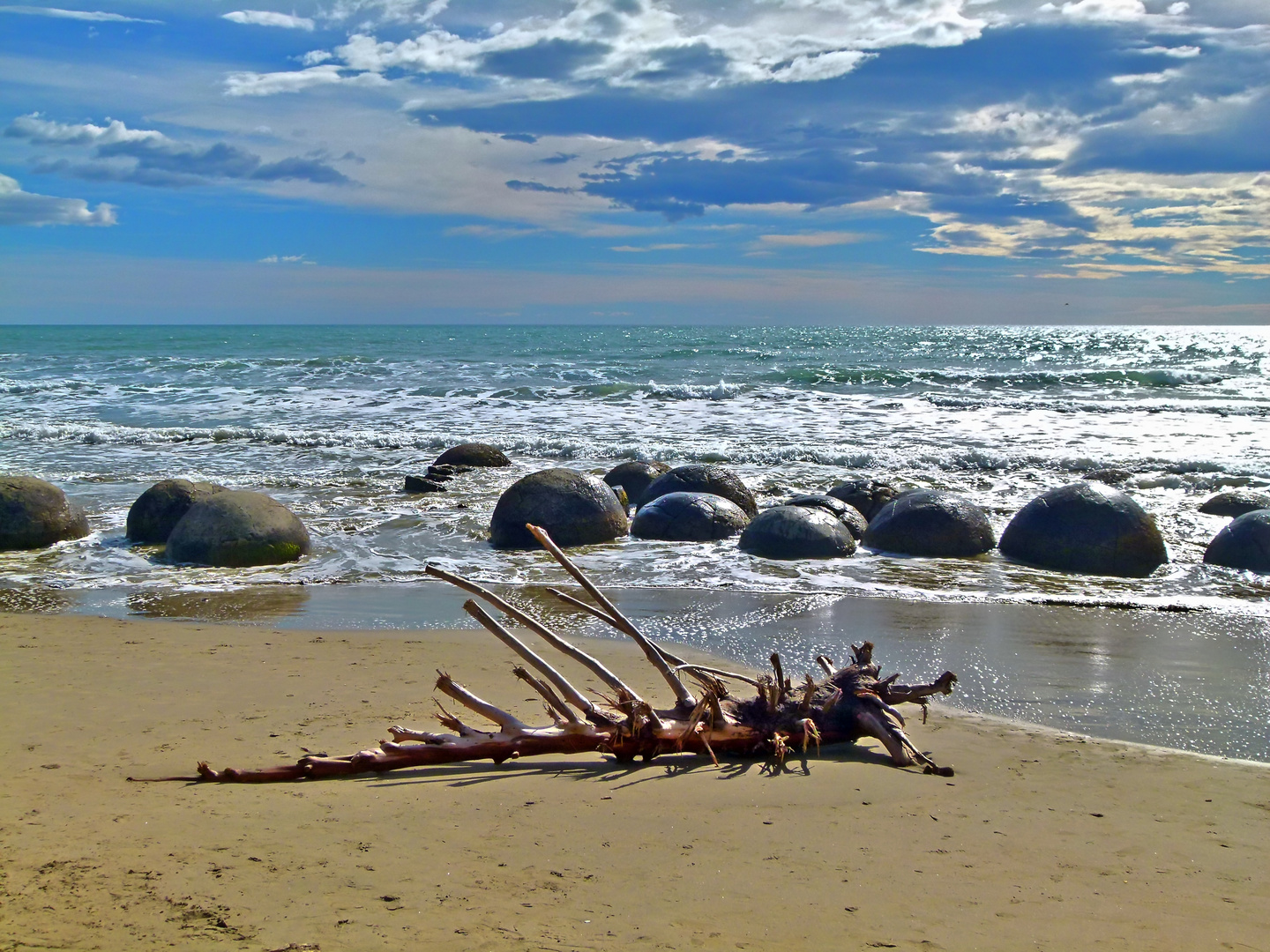 "Urzeitechse" am Strand der Moeraki Boulders