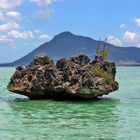 Urzeitgestein Mauritius