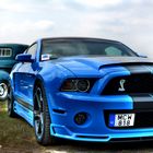 US Car Convention Dresden Blue Shelby