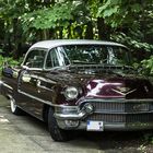 US-Car-Treffen -2-