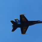 U.S. Navy Blue Angles