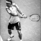 US Open David Ferrer