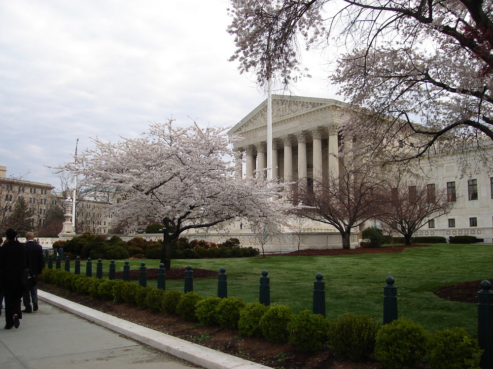 US Supreme Court during Cherry Blossom Season