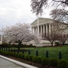 US Supreme Court during Cherry Blossom Season