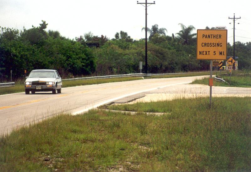 USA (1991), Florida