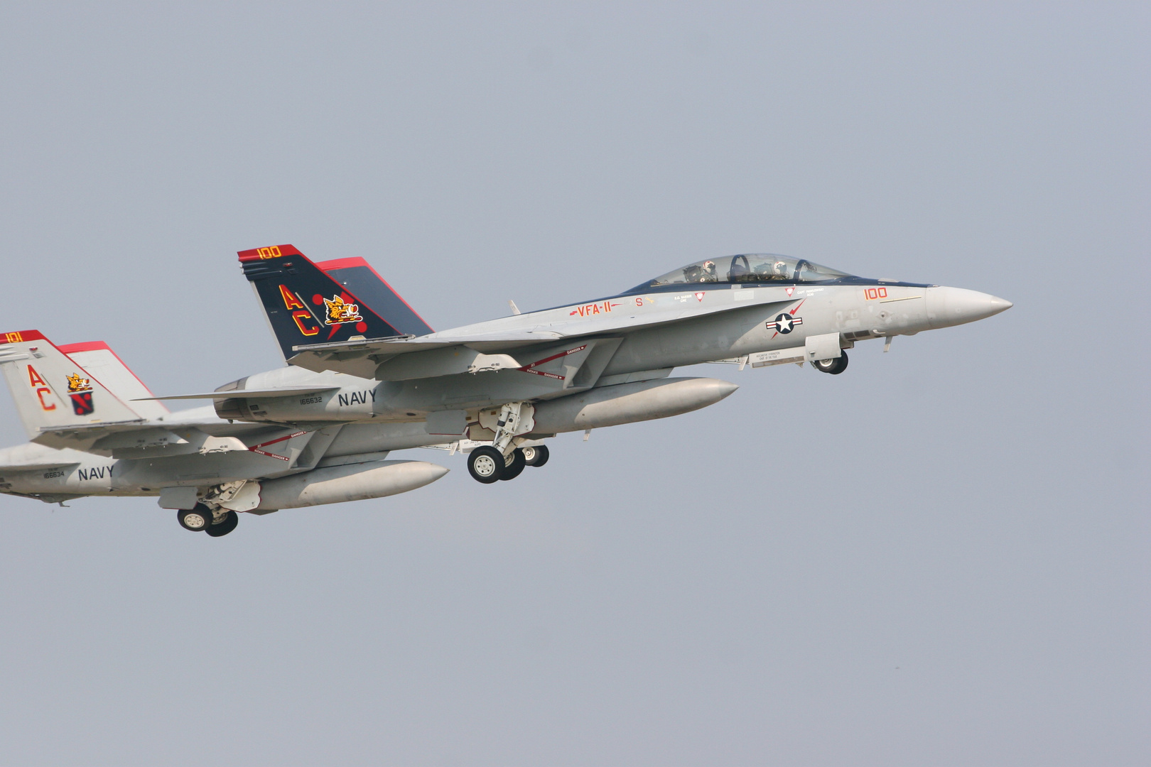 USA 2006 NAS Oceana Chip 2 398