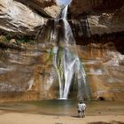 USA 2009 - Calf Creek #2