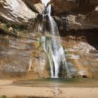 USA 2009 - Calf Creek