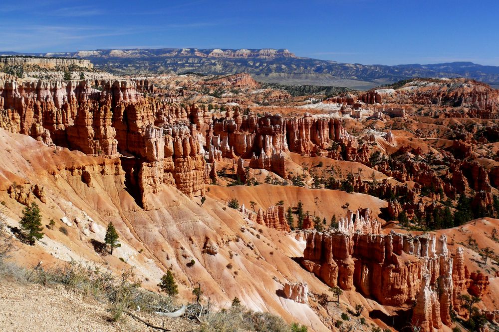 USA 2011 - Autorundreise "Grand Circle" - Bryce Canyon (1)