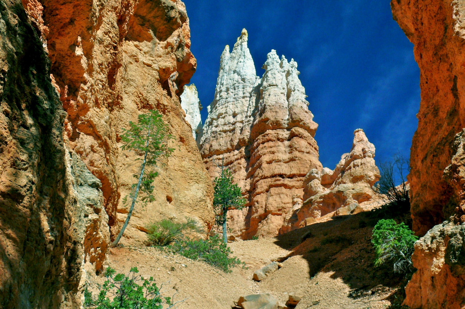 USA 2011 - Autorundreise "Grand Circle" - Bryce Canyon (2)