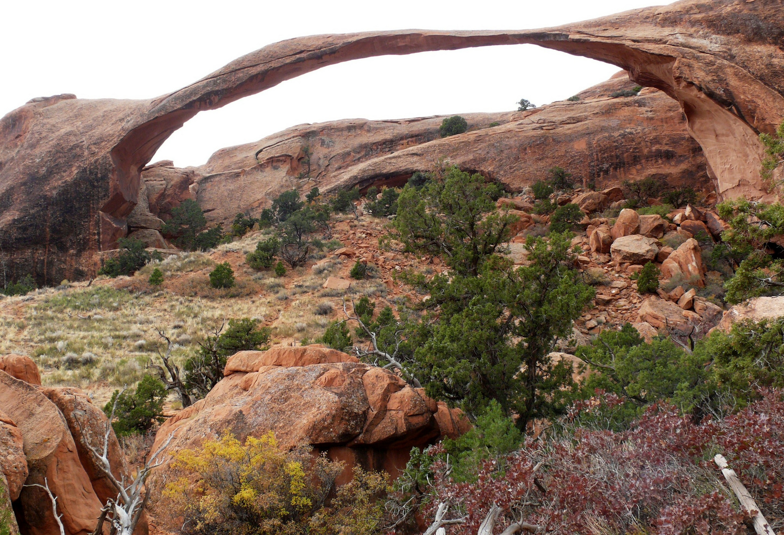 USA 2011 - Autorundreise "Grand Circle" - Landscape Arch im Arches N.P: