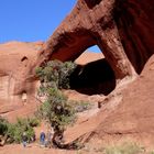 USA 2011 - Autorundreise "Grand Circle" - Monument Valley / Da kommt man sich richtig klein vor