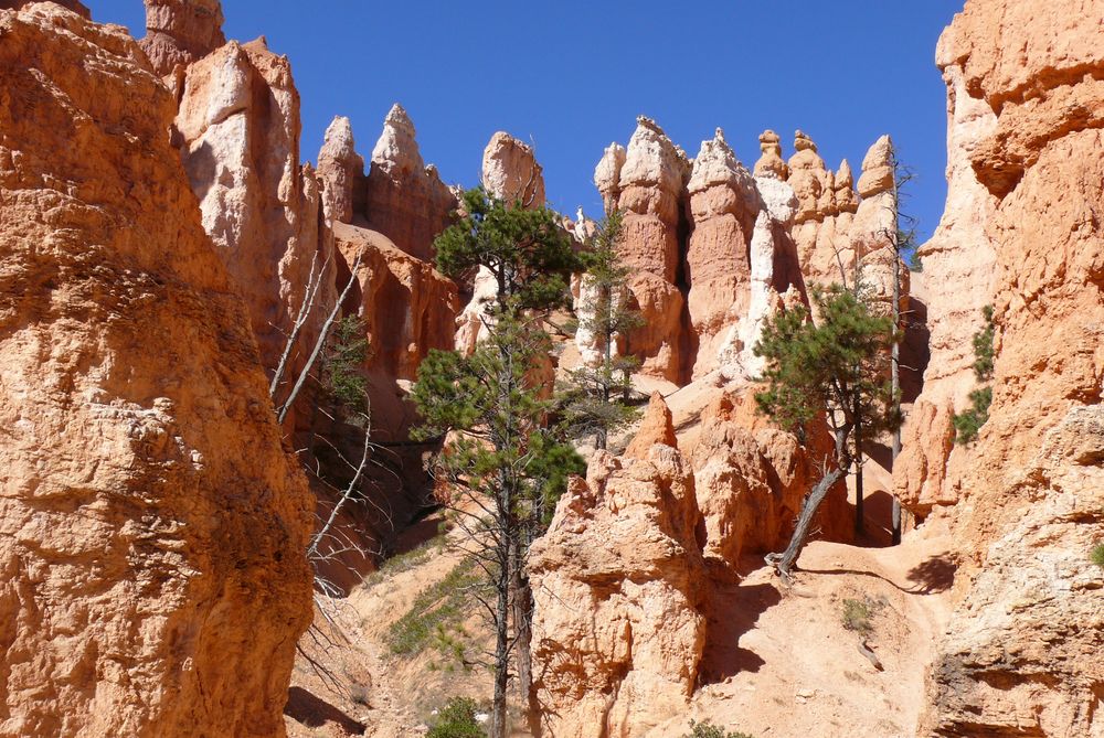 USA 2013 - Rundreise "Grand Circle"  (3) - Im Bryce Canyon