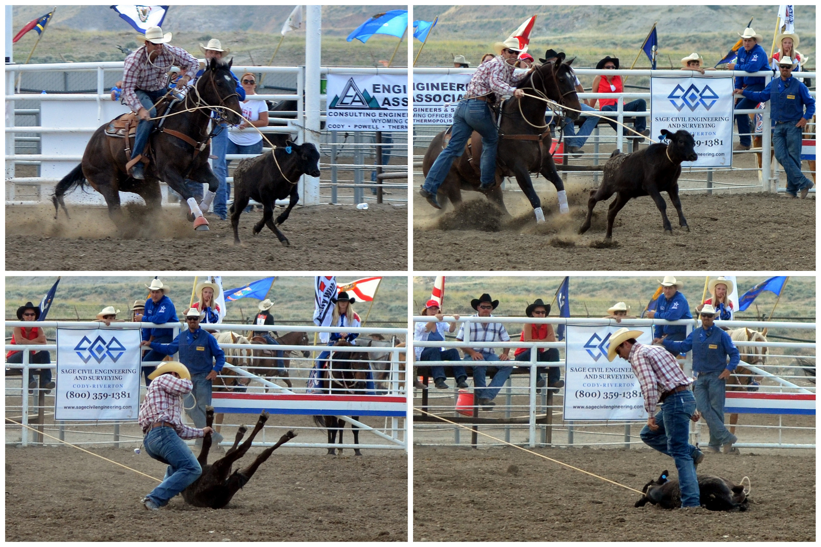 Usa 2015 Calf roping 1