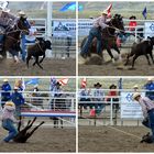 Usa 2015 Calf roping 1