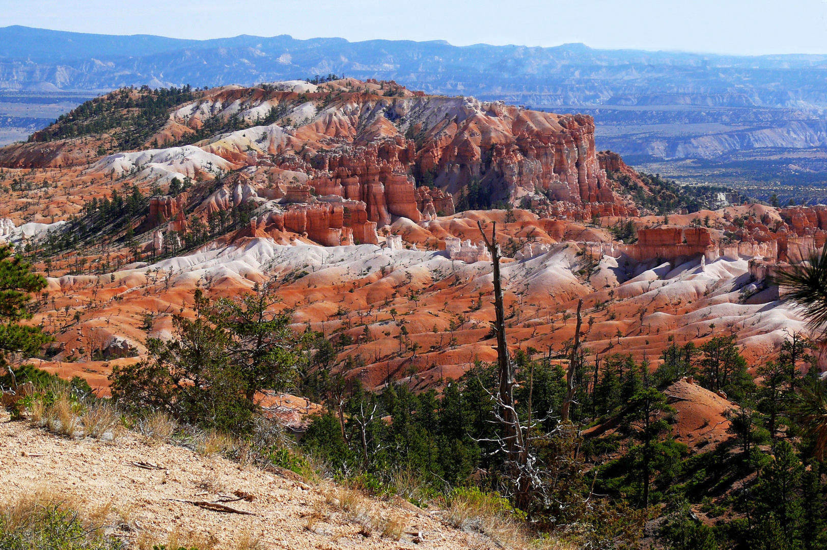 USA 2018 - Bryce Canyon (3)