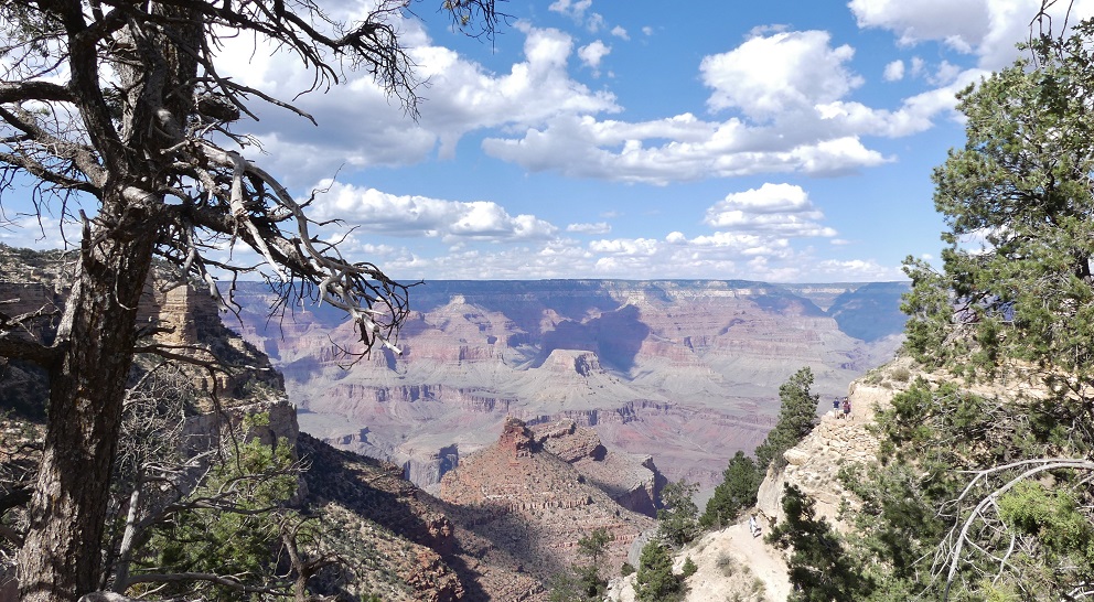 USA 2018 - Grand Canyon (2)