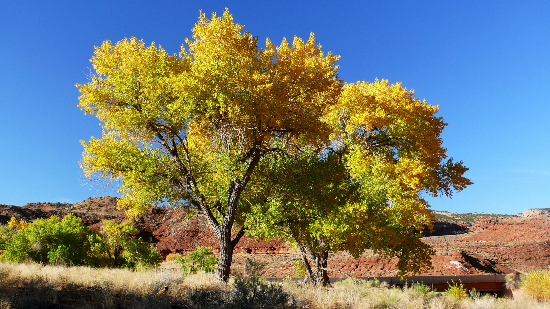 USA 2018 - Herbst im Rocky Mountain Nationalpark (2)